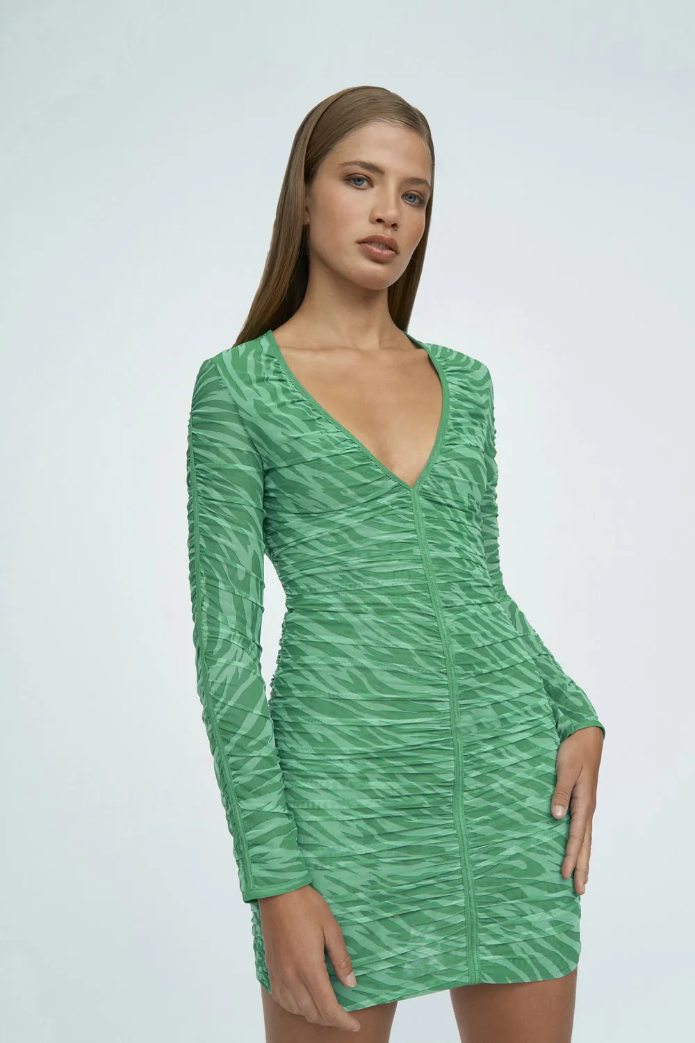 Ria Mesh Mini Dress | Final Sale - Green Zebra